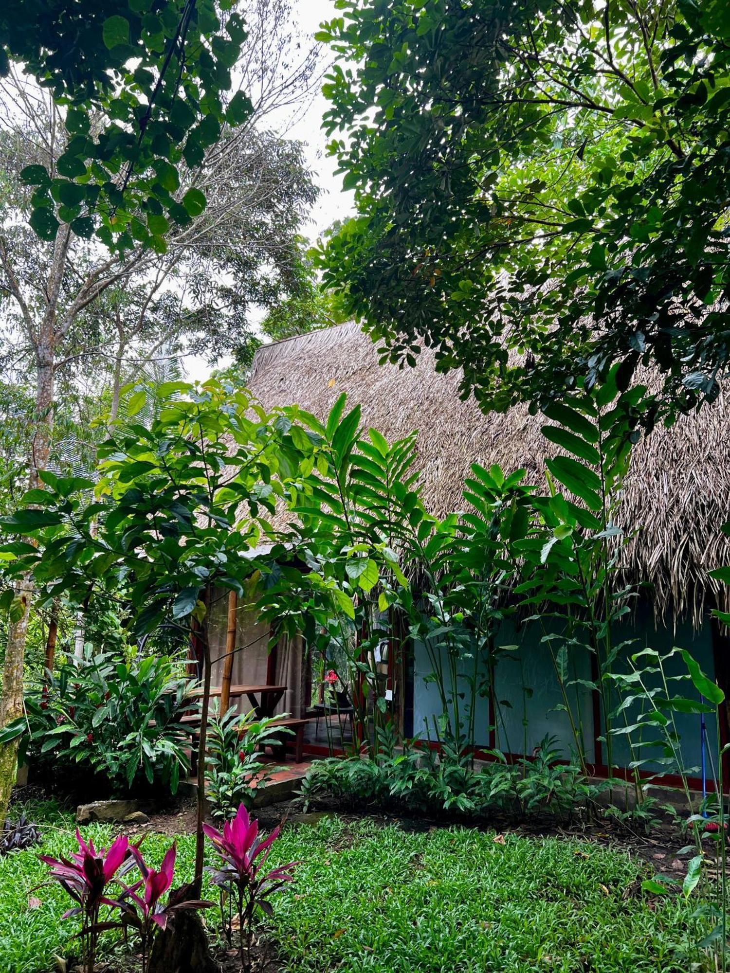 El Resort De Yanashpa - Tarapoto Exterior photo